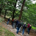 financials-eemland-wandeling07